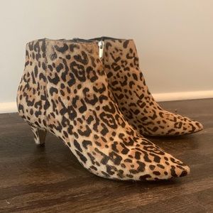 Sam Edelman cheetah print booties